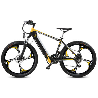 27kg 750 vélo de montagne électrique du vélo de montagne de watt 48V avec l'aide de batterie
