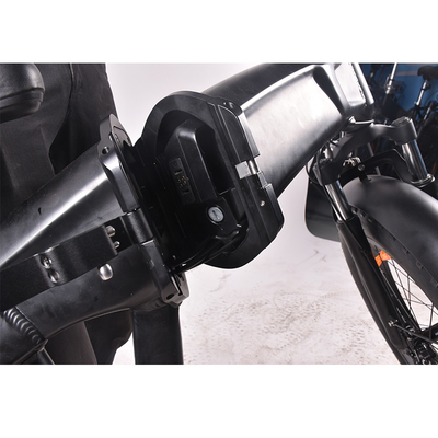 Le vélo de montagne électrique de gros pneu d'ODM 48V 500W Shimano 6 embraye la cargaison Ebike pliable